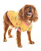 Küçük ve Orta Irk Köpek Sweater - Bargum
