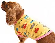 Küçük ve Orta Irk Köpek Sweater - Bargum