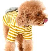 Küçük ve Orta Irk Köpek Sweatshirt - Arne - Köpek Kıyafeti