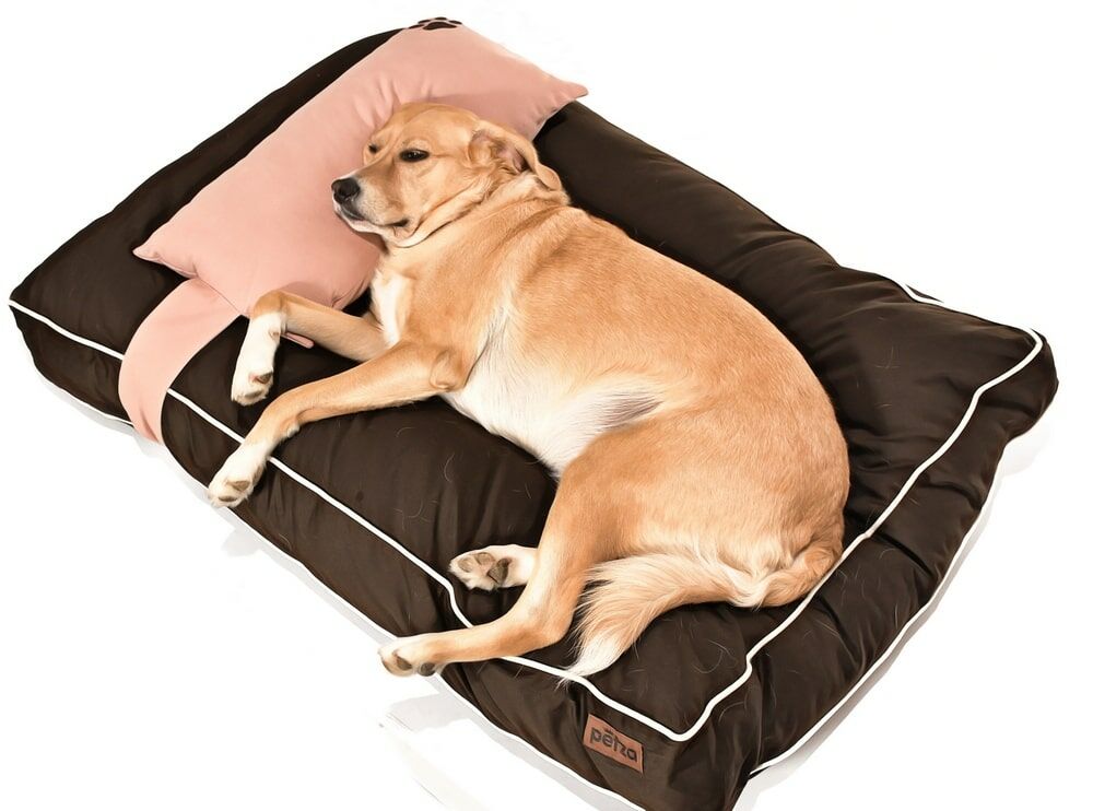 Köpek Yatağı ve Yastık Takımı - Rume Large