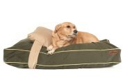 Köpek Yatağı ve Yastık Takımı - Fungo Large