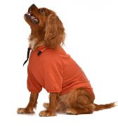 Küçük ve Orta Irk Köpek Sweatshirt - Gigi- Köpek Kıyafeti