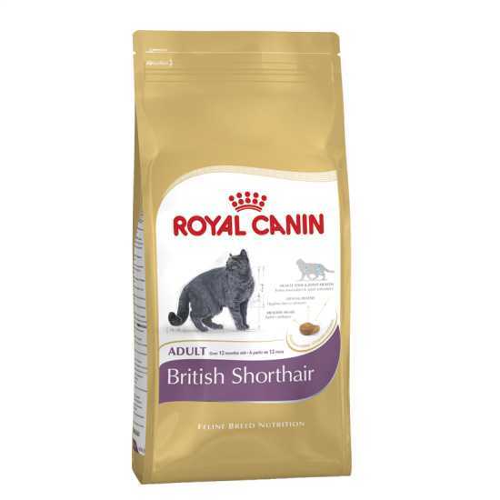 Royal Canin British Shorthair Yetişkin Kedi Maması 2 Kg
