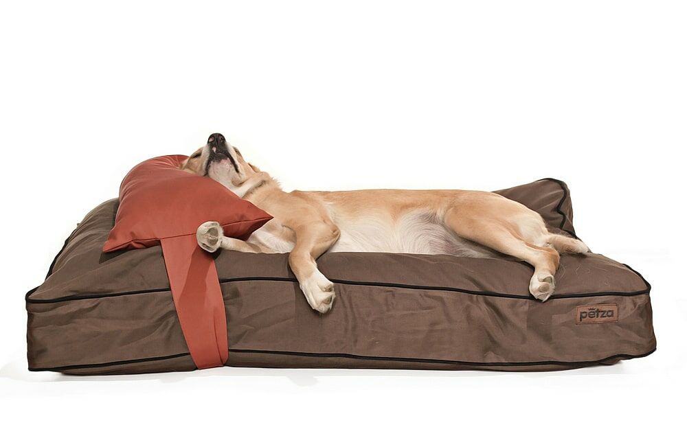 Köpek Yatağı ve Yastık Takımı - Dima Large