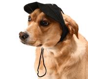 Küçük ve Orta Irk Köpekler için Şapka Japers