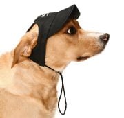 Küçük ve Orta Irk Köpekler için Şapka Japers
