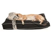 Köpek Yatağı ve Yastık Takımı - Rangu Large