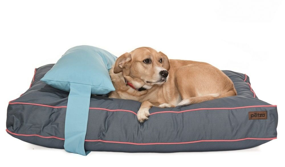 Köpek Yatağı ve Yastık Takımı - Lungo Large