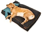 Köpek Yatağı ve Yastık Takımı - Drax Large