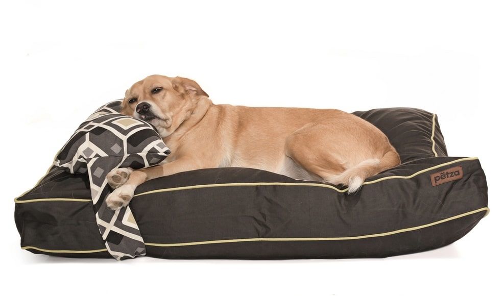 Köpek Yatağı ve Yastık Takımı - Tepa Large