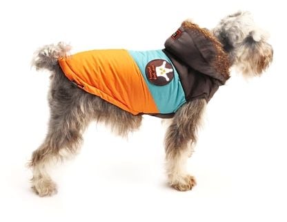 Köpek Mont Groove Turuncu - Köpek Kıyafeti
