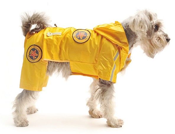 Paçalı Köpek Yağmurluk - Funky Sarı