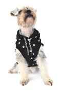 Köpek Küçük ve Orta Irk Sweatshirt Juho Siyah