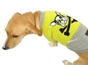 Küçük ve Orta Irk Köpek Sweatshirt - Embera Sarı - Köpek Kıyafetleri