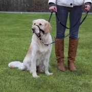 Trixie Uzman Köpek Eğitim Tasması XS 15cm