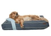 Köpek Yatağı ve Yastık Takımı - Luan Large