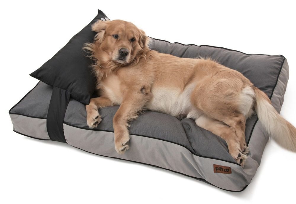 Köpek Yatağı ve Yastık Takımı - Oro Large
