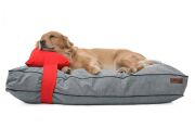 Köpek Yatağı ve Yastık Takımı - Wewak Large