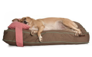 Köpek Yatağı ve Yastık Takımı - Eula Medium