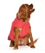 Küçük ve Orta Irk Köpek Mont - Nifler Kırmızı
