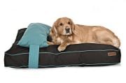 Köpek Yatağı ve Yastık Takımı - Dingus Large