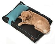 Köpek Yatağı ve Yastık Takımı - Dingus Large