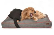 Köpek Yatağı ve Yastık Takımı - Cobb Large