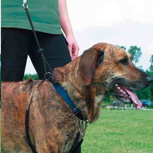 Trixie Köpek Yürüme Eğitim Tasması Medium 33 - 47x2,5cm