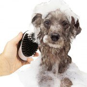 Duvo+ Köpek Banyosu İçin Şampuan Fırçası