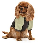 Küçük ve Orta Irk Köpek Sweatshirt - Ramora - Köpek Kıyafeti