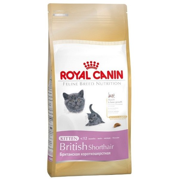 Royal Canin British Shorthair Yavru Kedi Maması 2 Kg