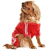 Küçük ve Orta Irk Köpek Pijama Tulum - Goba - Köpek Kıyafeti
