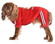 Küçük ve Orta Irk Köpek Pijama Tulum - Goba - Köpek Kıyafeti