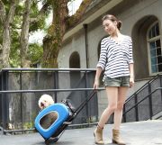 Ibiyaya Chocolate Tekerlekli Kedi Taşıma Çantası - Ibiyaya Chocolate Tekerlekli Köpek Taşıma Çantası