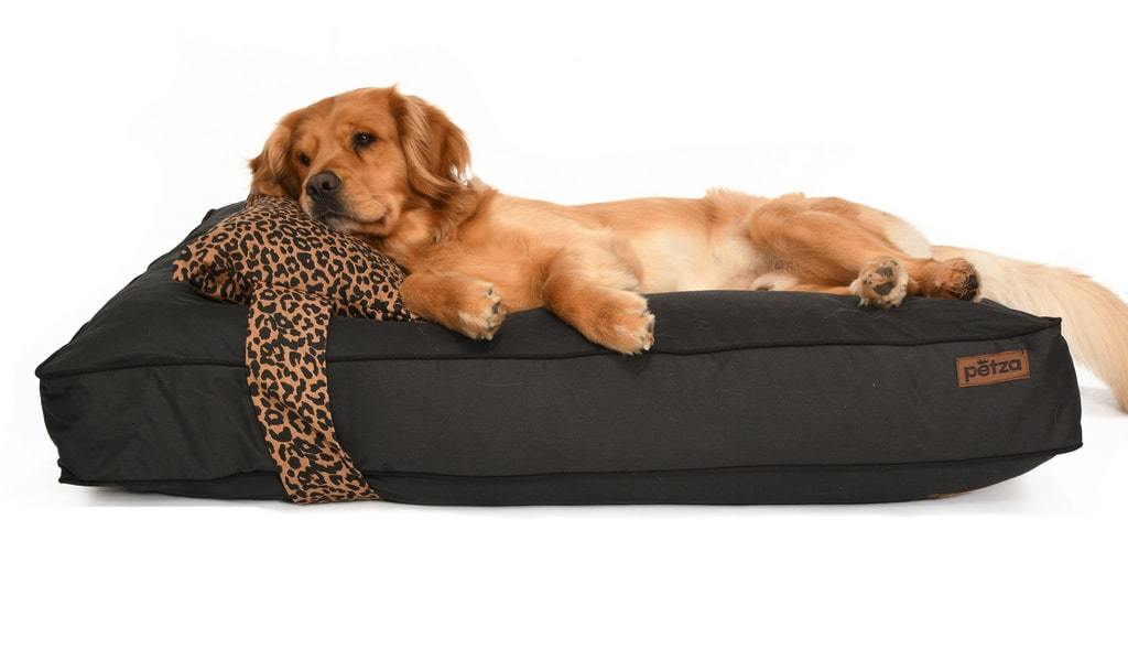 Köpek Yatağı ve Yastık Takımı - Ocradi  Large