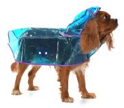 Köpek Küçük ve Orta Irk Yağmurluk Otso Şeffaf Mavi