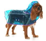 Köpek Küçük ve Orta Irk Yağmurluk Otso Şeffaf Mavi