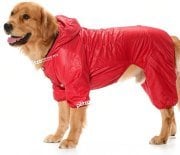 Büyük Irk Paçalı Köpek Yağmurluk - Hurit Kırmızı