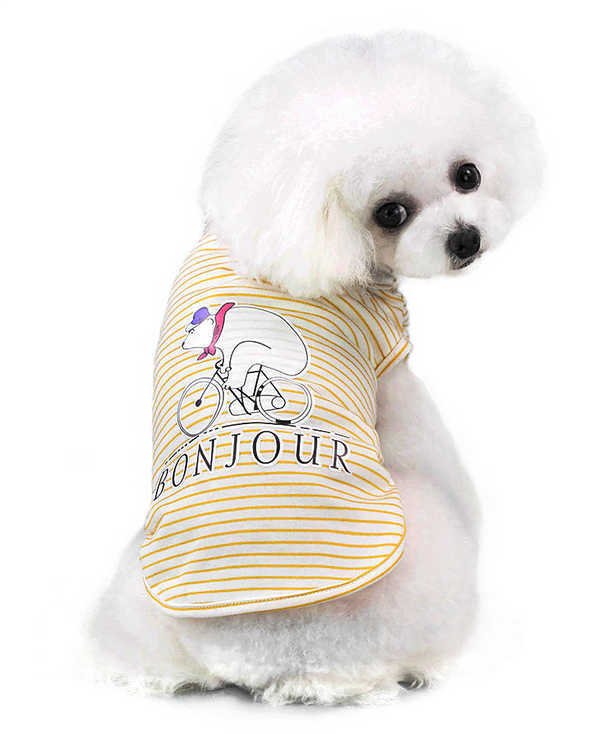 Köpek Küçük ve Orta Irk T-shirt Vasu Sarı