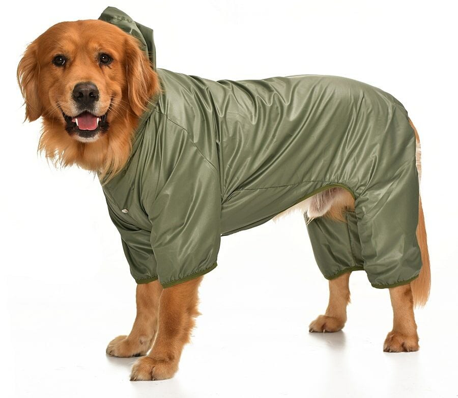 Büyük Irk Paçalı Köpek Yağmurluk - Hurit Yeşil