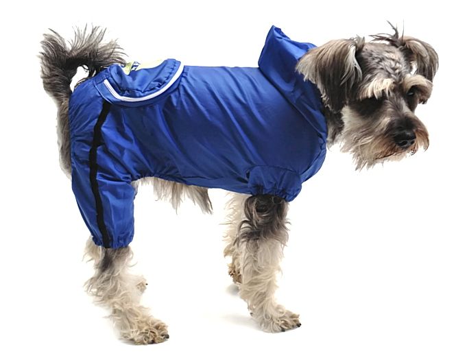 Paçalı Köpek Yağmurluk -  Pocket  Mavi
