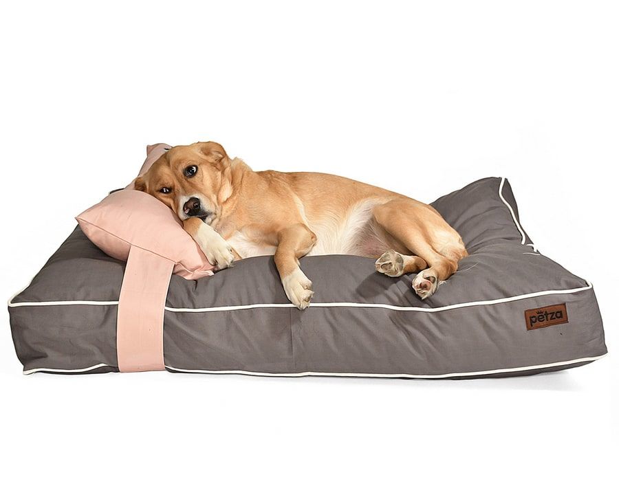 Köpek Yatağı ve Yastık Takımı - Occamy Large