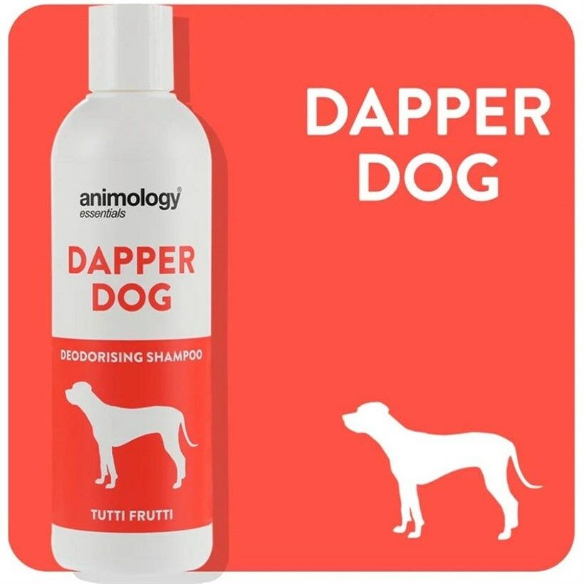 Animology Essentials Dapper Dog Koku Giderici Köpek Şampuanı 250ml