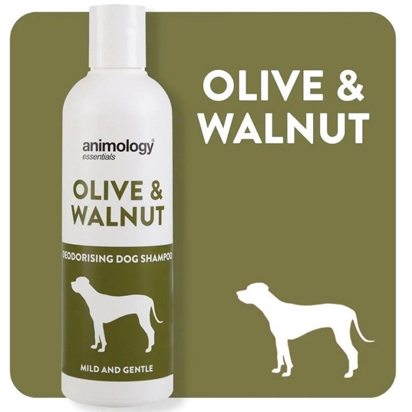 Animology Essentials Olive & Walnut Zeytin ve Ceviz Köpek Şampuanı 250ml