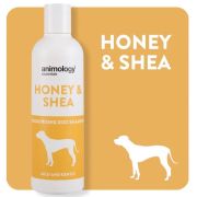 Animology Essentials Honey & Shea Ballı Köpek Şampuanı 250ml
