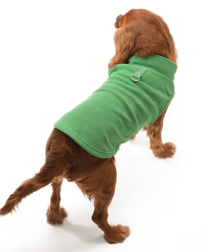 Küçük ve Orta Irk Köpek Sweater - Topi Yeşil