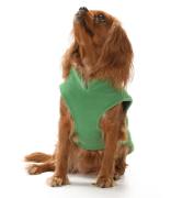 Küçük ve Orta Irk Köpek Sweater - Topi Yeşil