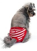 Köpek Külot - Özel Günler için Çıkarılamaz Çamaşır Kırmızı Beyaz Çizgili