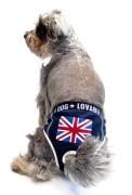 Köpek Külot - Özel Günler için Çıkarılamaz Çamaşır Mavi