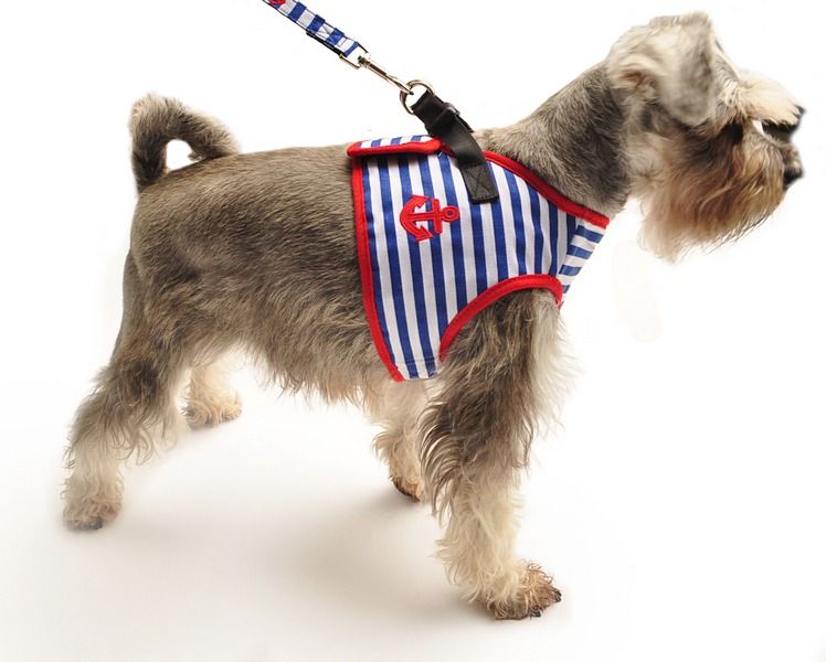 Sailor Dog Köpek Göğüs Tasması ve Uzatması